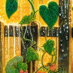 The Garden That Glowed After Rain