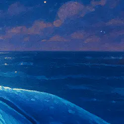 The Whale Who Followed the Moon